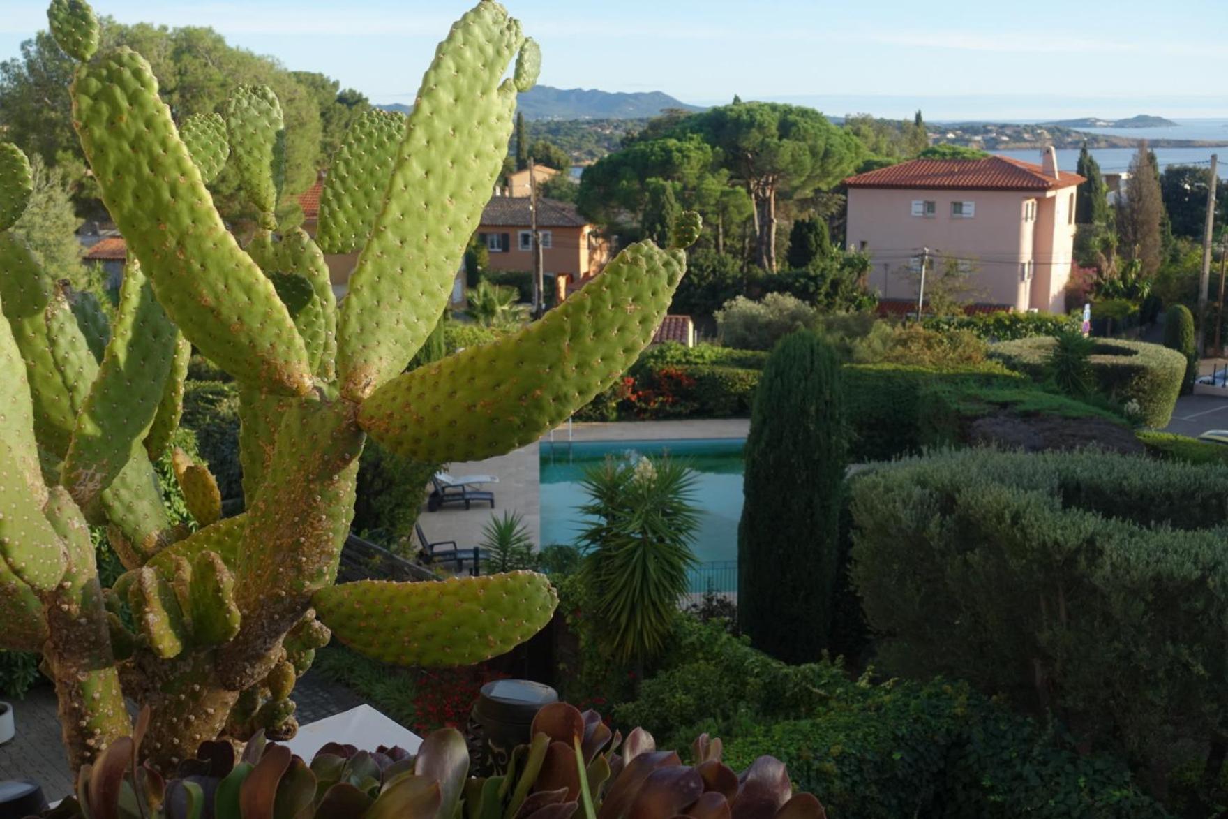 Les Jardins De Bandol, Piscine Privee, Belle Vue Mer Extérieur photo